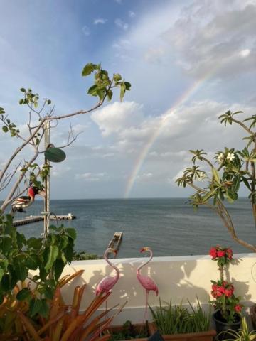 Pierview Rooms Hua Hin Bagian luar foto